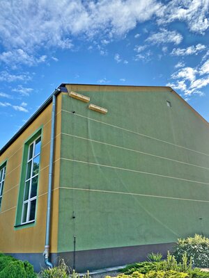 Dziobek jerzyka i komar znika